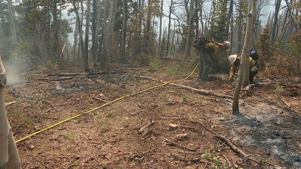 As of Monday, July 15, 2024, the Silver King Fire had burned more than 17,600 acres of Utah's Piute County near Marysvale. (KUTV Photo)