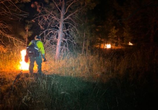 Image for story: Utah fire crews head west to assist with massive Park Fire in California