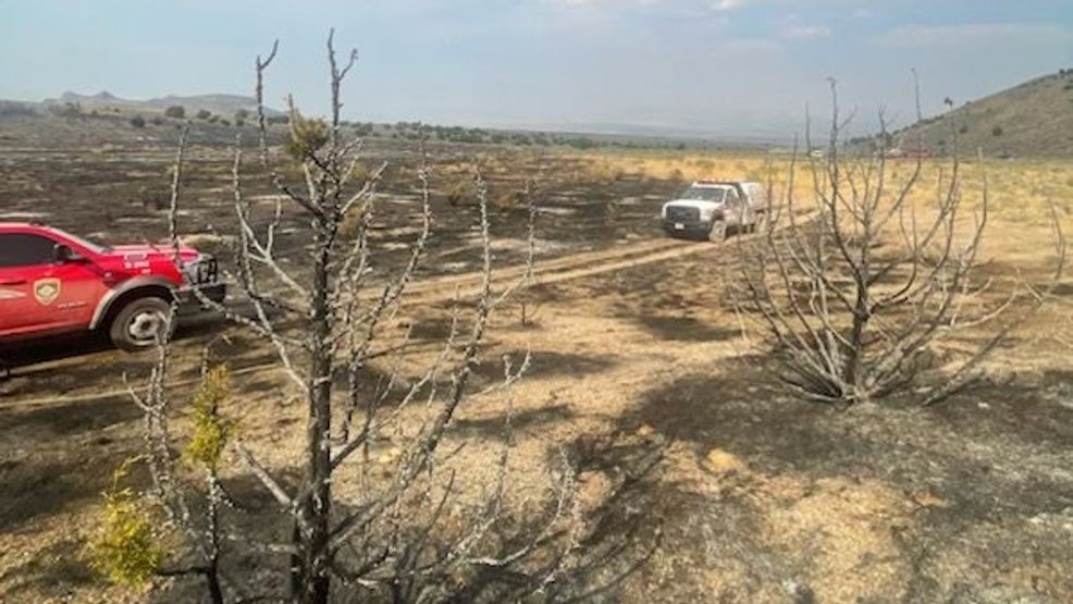 A new wildfire that officials are calling the Warm Springs Fire has sparked in Box Elder County near the Utah-Nevada border. (Photo: Utah Fire Info)