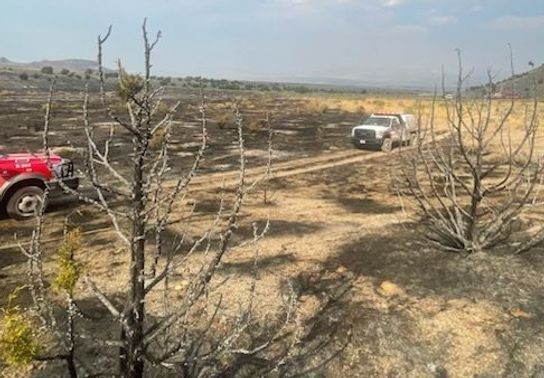 Image for story: New wildfire called Warm Springs Fire starts near Utah-Nevada border