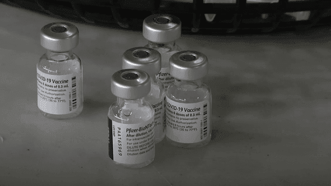 Doses of the Pfizer COVID-19 vaccine (WICS)